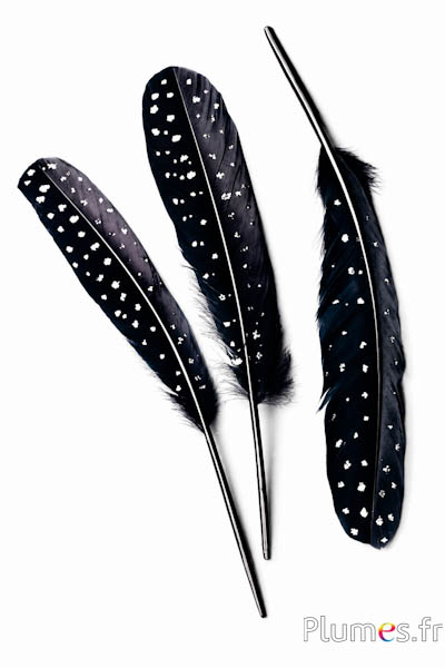 Cigno seta con lustrini - 25-30 cm - nero